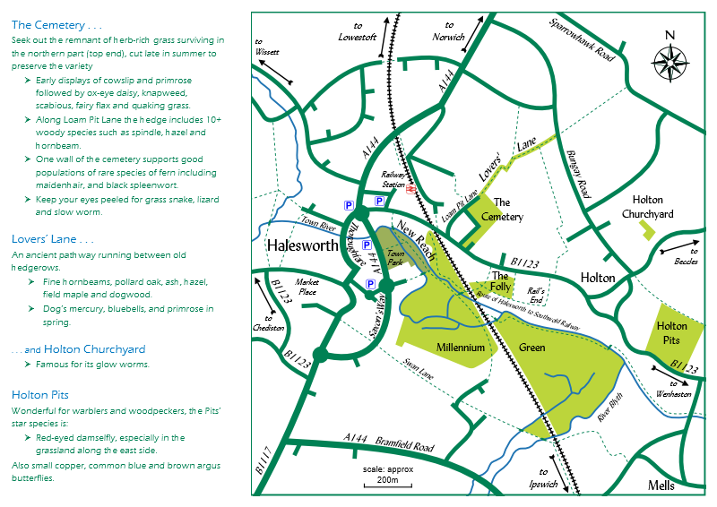 DL folded leaflet for Halesworth Tourism Group