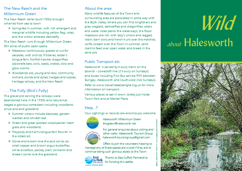 DL folded leaflet for Halesworth Tourism Group